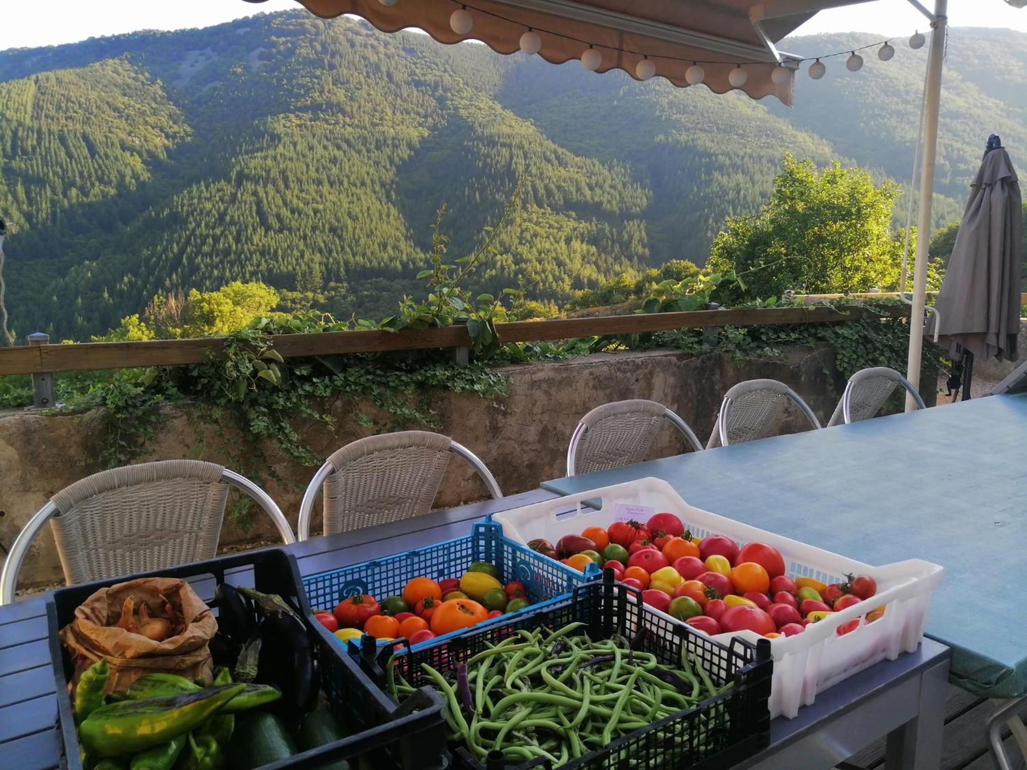 Les Chambres De La Ferme De Chalas Valgorge Exterior photo